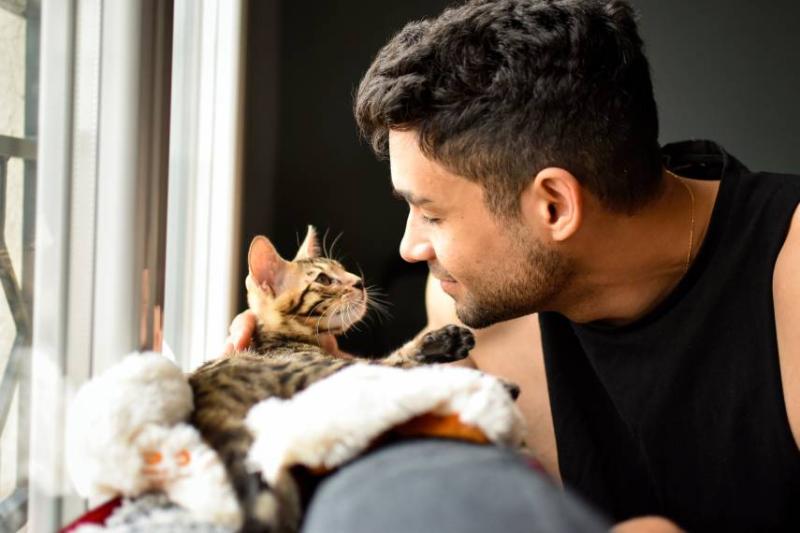 Getting 2025 a kitten